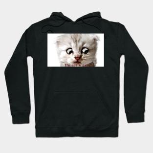 I’m Not A Cat Hoodie